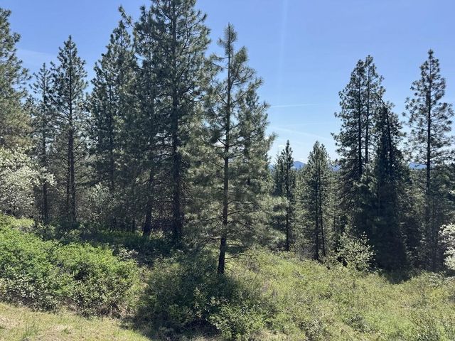 1372 Valley View Dr, Newport, WA 99156