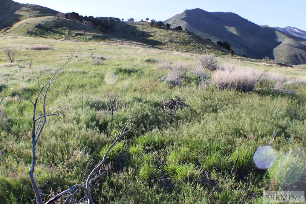 Image 15 of property listing at 000 S 5th Avenue, Pocatello, ID 83201