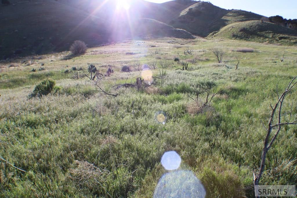 Image 16 of property listing at 000 S 5th Avenue, Pocatello, ID 83201