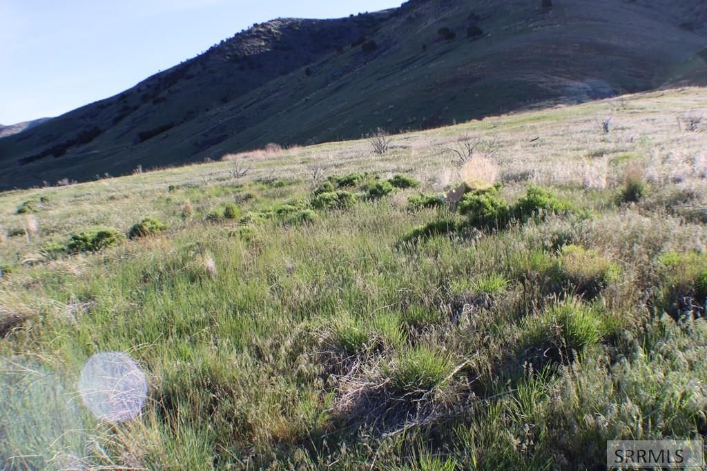 Image 21 of property listing at 000 S 5th Avenue, Pocatello, ID 83201