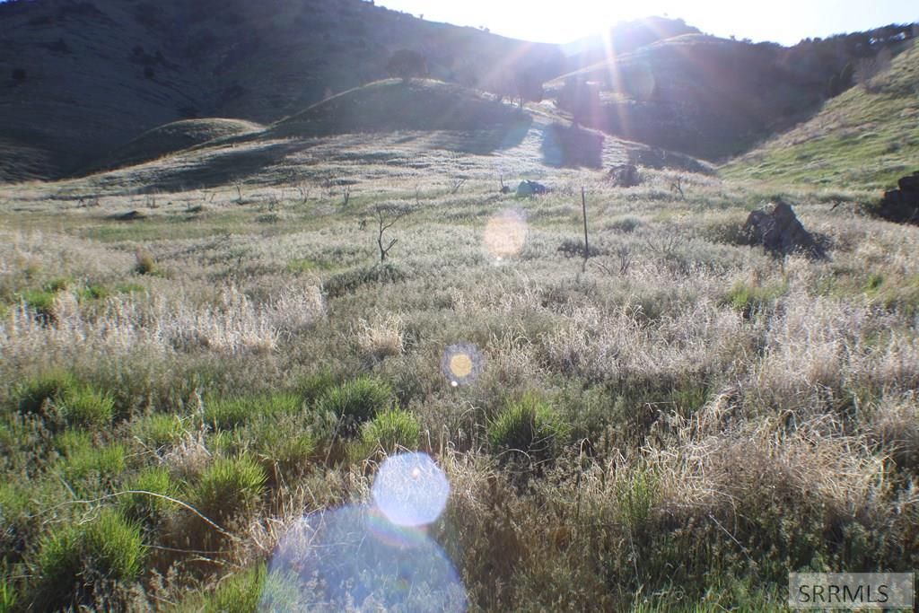 Image 23 of property listing at 000 S 5th Avenue, Pocatello, ID 83201