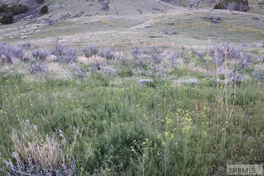 Image 3 of property listing at 000 S 5th Avenue, Pocatello, ID 83201