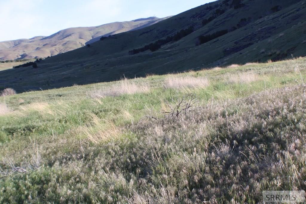 Image 33 of property listing at 000 S 5th Avenue, Pocatello, ID 83201