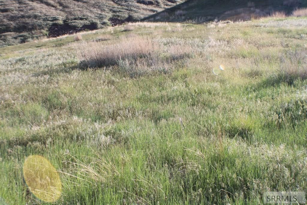 Image 35 of property listing at 000 S 5th Avenue, Pocatello, ID 83201