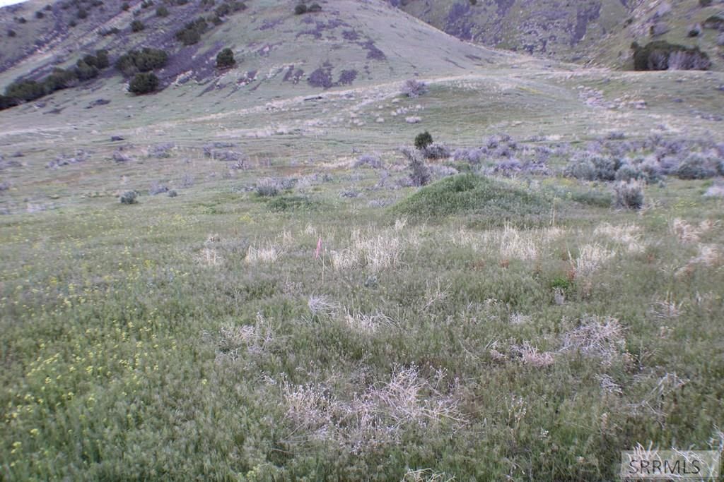 Image 6 of property listing at 000 S 5th Avenue, Pocatello, ID 83201
