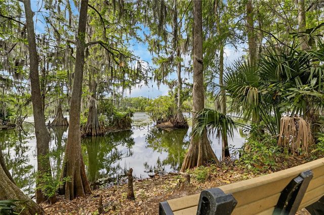 1008 W RIVER DRIVE, Temple Terrace, FL 33617