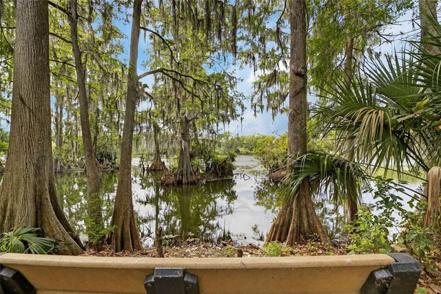 1008 W RIVER DRIVE, Temple Terrace, FL 33617