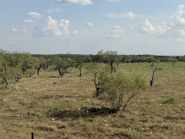TBD HWY 36 E. Tract 2, Jonesboro, TX 76538
