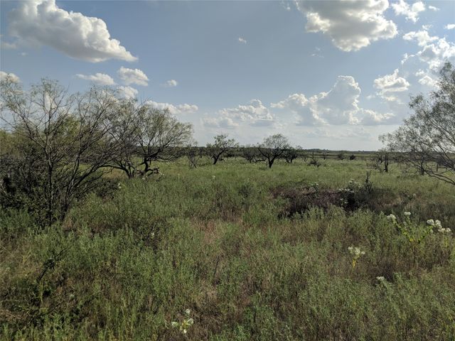 TBD HWY 36 E. Tract 2, Jonesboro, TX 76538