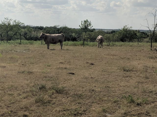 TBD HWY 36 E. Tract 2, Jonesboro, TX 76538