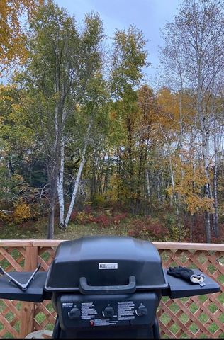 11904 Cardinal Road NW, Bemidji, MN 56601