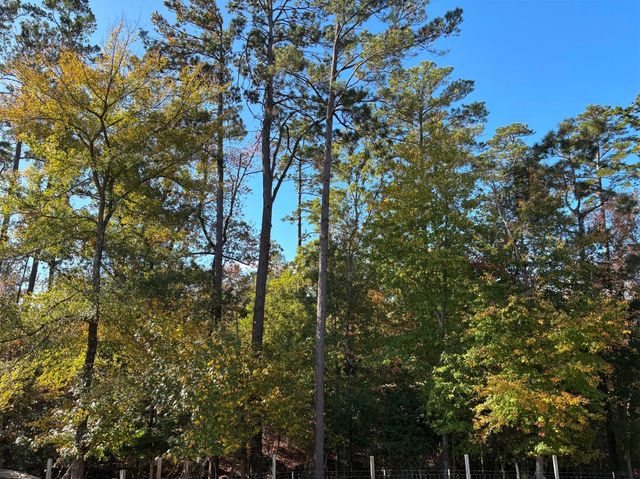 196 Twisted Oaks Drive, Rusk, TX 75785