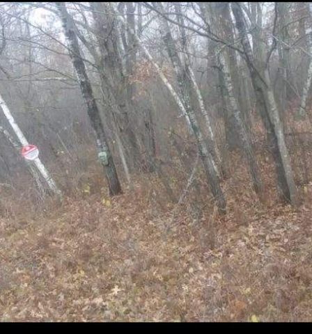 0 MAIN STREET, Tomah, WI 54660