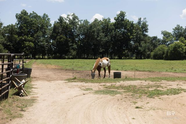 11882 Fieldcrest Lane, Fairhope, AL 36532