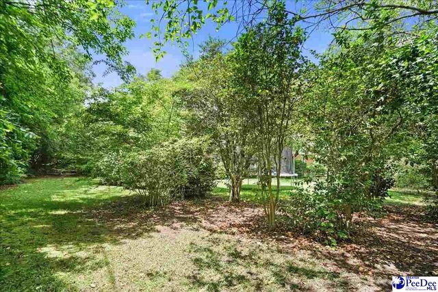 534 W Richardson circle, Hartsville, SC 29550