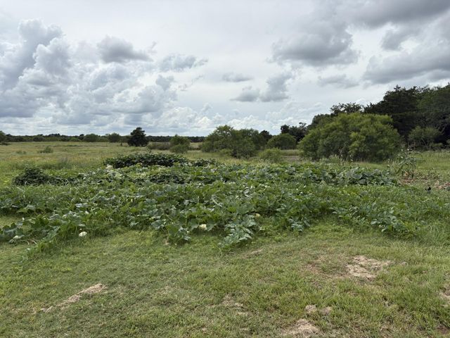 2990 S 304 Highway, Rosanky, TX 78953