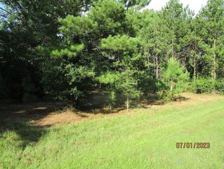 30622 Meadow Wood Drive, Magnolia, TX 77354