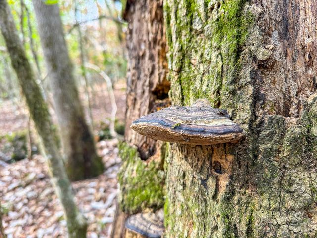 15184 Fm 92, Spurger, TX 77660