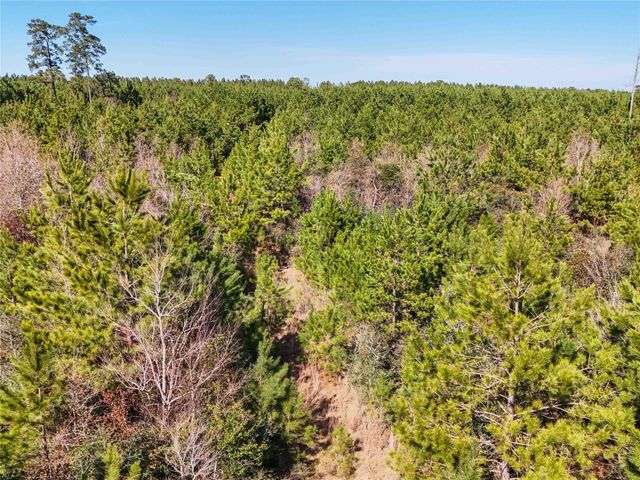 15184 Fm 92, Spurger, TX 77660