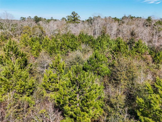 15184 Fm 92, Spurger, TX 77660