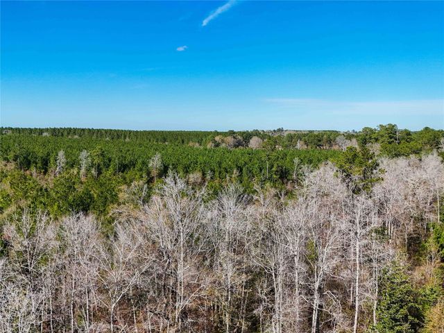 15184 Fm 92, Spurger, TX 77660