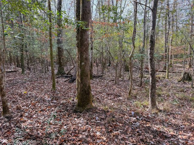 15184 Fm 92, Spurger, TX 77660