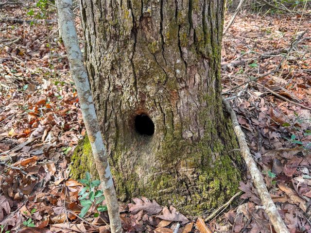 15184 Fm 92, Spurger, TX 77660