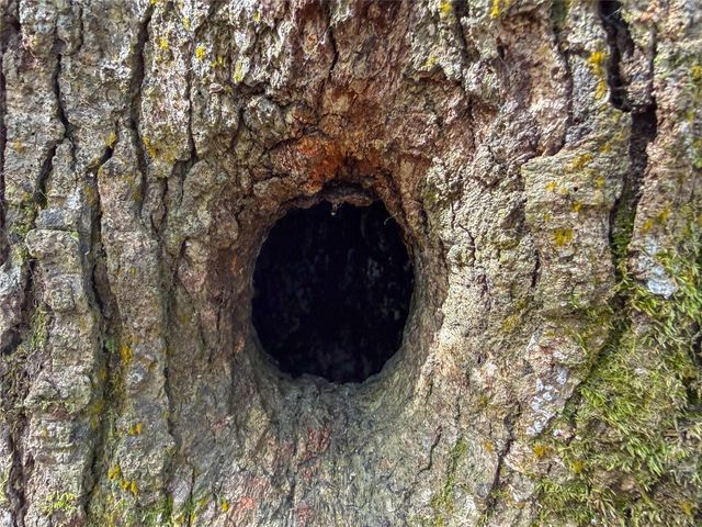 15184 Fm 92, Spurger, TX 77660