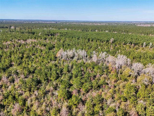 15184 Fm 92, Spurger, TX 77660