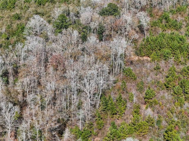 15184 Fm 92, Spurger, TX 77660