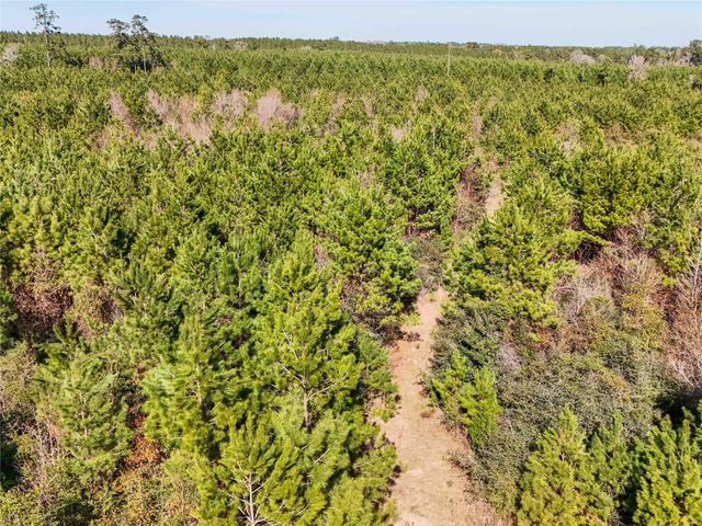 15184 Fm 92, Spurger, TX 77660