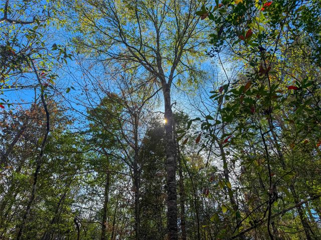 15184 Fm 92, Spurger, TX 77660