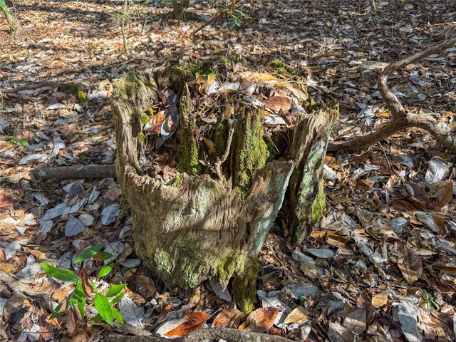 15184 Fm 92, Spurger, TX 77660