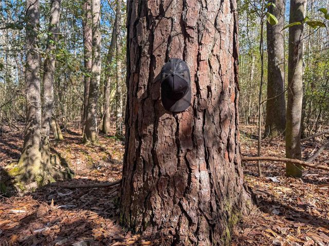 15184 Fm 92, Spurger, TX 77660