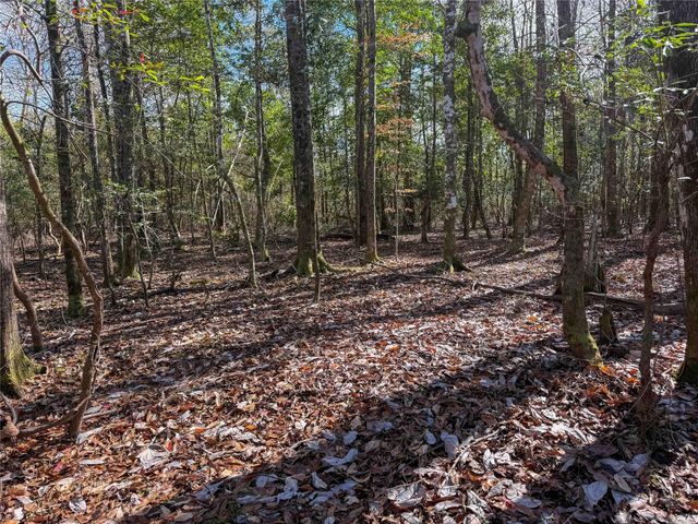 15184 Fm 92, Spurger, TX 77660