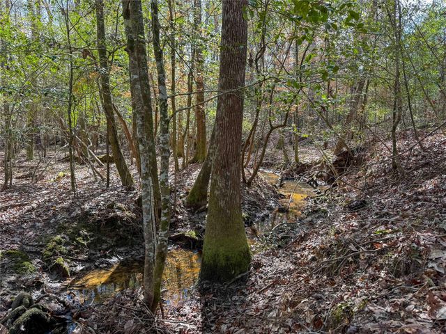 15184 Fm 92, Spurger, TX 77660