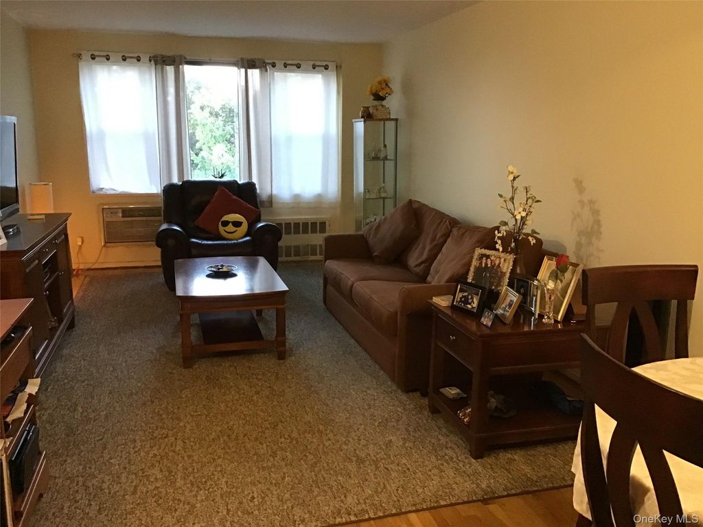 6 Birchwood Court 4B, Mineola, NY 11501 — photo 3