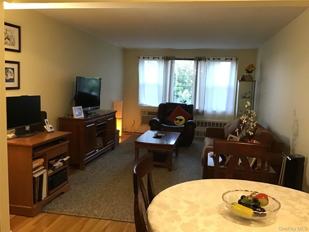 6 Birchwood Court 4B, Mineola, NY 11501 — photo 4