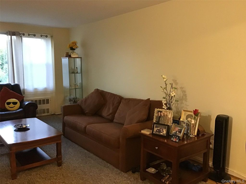 6 Birchwood Court 4B, Mineola, NY 11501 — photo 5