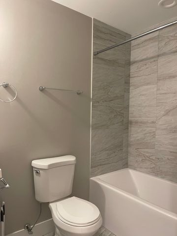 215 S Hamilton Avenue 1N, Chicago, IL 60612