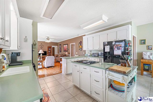304 Crepe Myrtle Ln, Hartsville, SC 29550