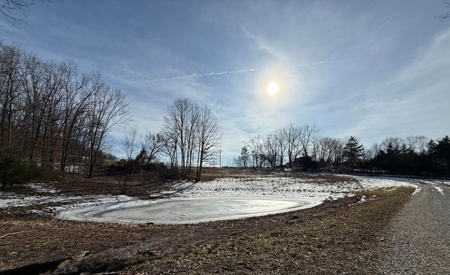 000 Rr 1 Box 222, Vanzant, MO 65768