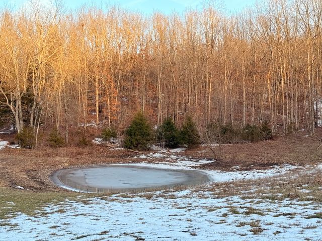 000 Rr 1 Box 222, Vanzant, MO 65768