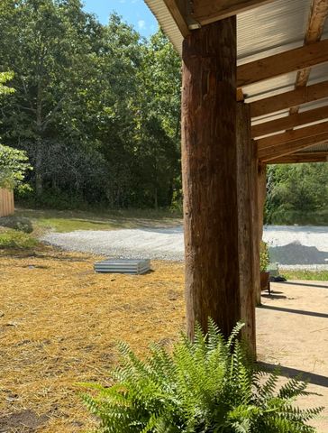 000 Rr 1 Box 222, Vanzant, MO 65768