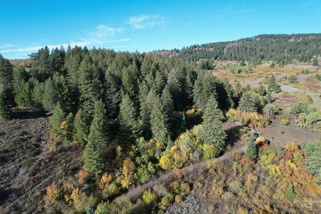 1700 Jackson Creek Road, Council, ID 83612 photo 24