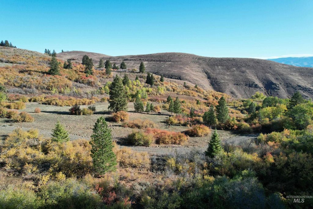 1700 Jackson Creek Road, Council, ID 83612 photo 3