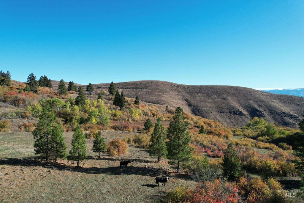 1700 Jackson Creek Road, Council, ID 83612 photo 4