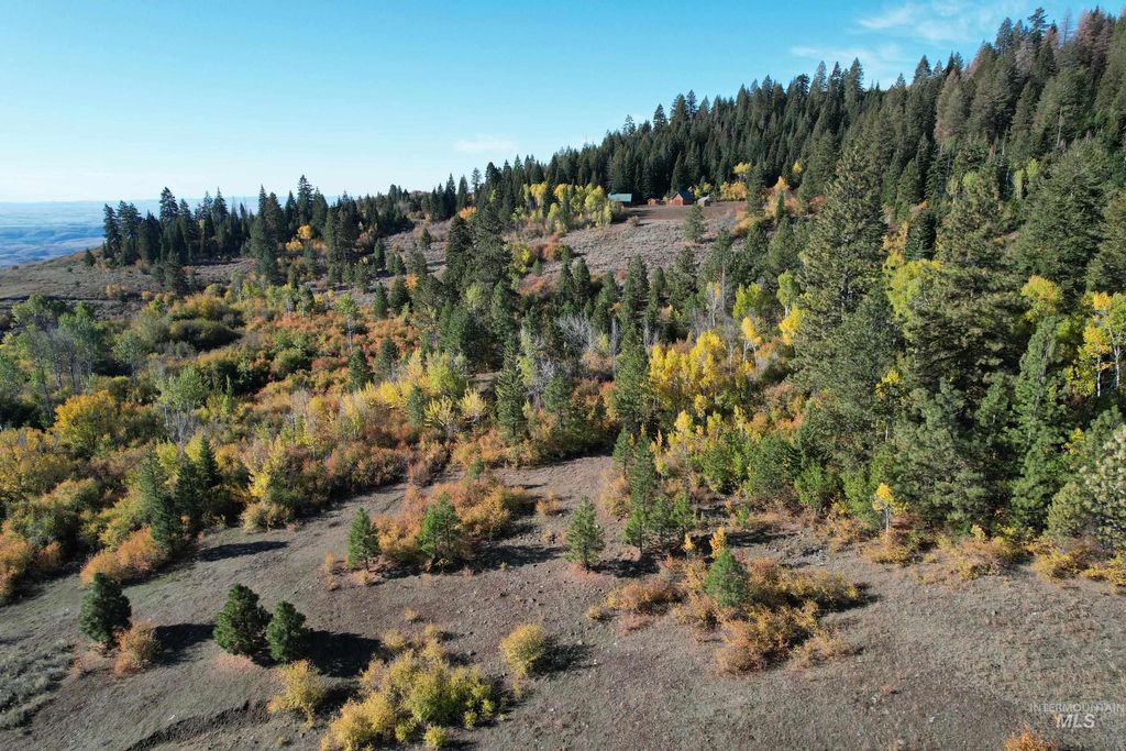 1700 Jackson Creek Road, Council, ID 83612 photo 5