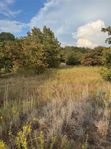 TBD New Hope Road, Boyd, TX 76023
