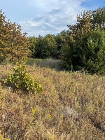 TBD New Hope Road, Boyd, TX 76023